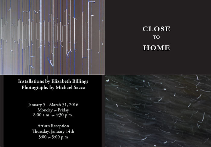 Close to Home, Installations by Elizabeth Billings and Photographs by Michael Sacca
